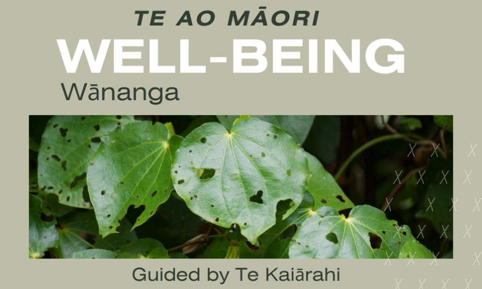Wellbeing wananga